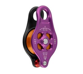 DMM Pinto Rig 2
