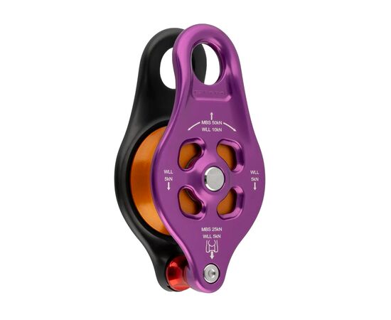 DMM Pinto Rig 2